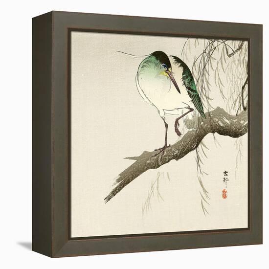 Green Heron on Branch-Koson Ohara-Framed Premier Image Canvas