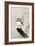 Green Heron-Koson Ohara-Framed Giclee Print