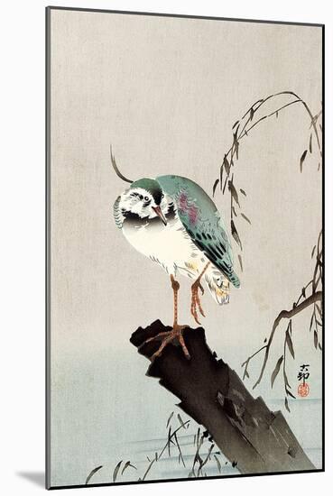 Green Heron-Koson Ohara-Mounted Giclee Print