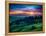 Green Hills Glowing by Warm Sunlight at Twilight. Dramatic Scene. Colorful Sky, Red Clouds. Carpath-Leonid Tit-Framed Premier Image Canvas