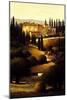 Green Hills of Tuscany I-Max Hayslette-Mounted Giclee Print