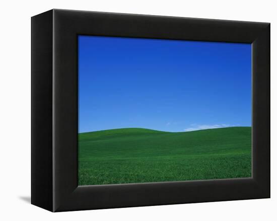 Green Hills-Bill Ross-Framed Premier Image Canvas