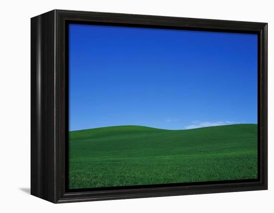 Green Hills-Bill Ross-Framed Premier Image Canvas