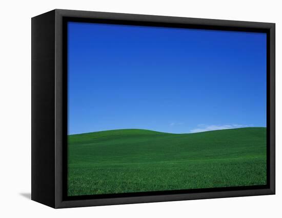 Green Hills-Bill Ross-Framed Premier Image Canvas