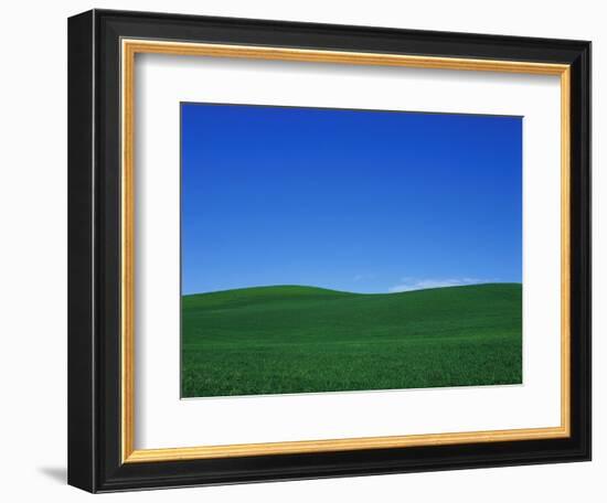 Green Hills-Bill Ross-Framed Photographic Print