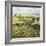 Green Hills-Allan Friedlander-Framed Art Print