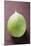 Green Honeydew Melon-Foodcollection-Mounted Photographic Print