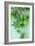 Green Hops-Den Reader-Framed Photographic Print
