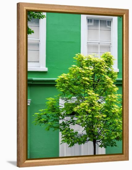 Green House in Notting Hill - London - UK - England - United Kingdom - Europe-Philippe Hugonnard-Framed Premier Image Canvas