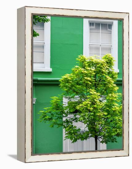 Green House in Notting Hill - London - UK - England - United Kingdom - Europe-Philippe Hugonnard-Framed Premier Image Canvas