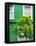 Green House in Notting Hill - London - UK - England - United Kingdom - Europe-Philippe Hugonnard-Framed Premier Image Canvas