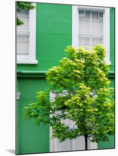 Green House in Notting Hill - London - UK - England - United Kingdom - Europe-Philippe Hugonnard-Mounted Photographic Print