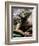 Green Iguana at Exotic Animal Exhibition, Sofia, Bulgaria-Petar Petrov-Framed Photographic Print