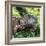 Green Iguana - Florida-Philippe Hugonnard-Framed Photographic Print