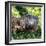 Green Iguana - Florida-Philippe Hugonnard-Framed Photographic Print