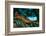 Green Iguana, Iguana Iguana, Portrait of Orange Big Lizard in the Dark Green Forest, Animal in the-Ondrej Prosicky-Framed Photographic Print