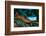 Green Iguana, Iguana Iguana, Portrait of Orange Big Lizard in the Dark Green Forest, Animal in the-Ondrej Prosicky-Framed Photographic Print