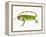 Green Iguana-Martin Harvey-Framed Premier Image Canvas