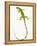 Green Iguana-Martin Harvey-Framed Premier Image Canvas