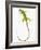 Green Iguana-Martin Harvey-Framed Photographic Print