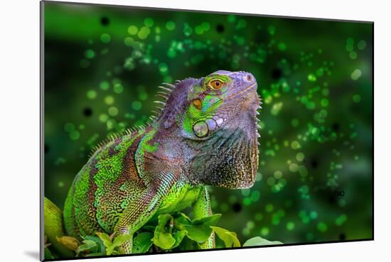 Green Iguana-Don Spears-Mounted Art Print