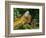 Green Iguanas (Iguana Iguana), Costa Rica-Andres Morya Hinojosa-Framed Photographic Print