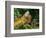 Green Iguanas (Iguana Iguana), Costa Rica-Andres Morya Hinojosa-Framed Photographic Print