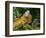 Green Iguanas (Iguana Iguana), Costa Rica-Andres Morya Hinojosa-Framed Photographic Print