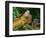 Green Iguanas (Iguana Iguana), Costa Rica-Andres Morya Hinojosa-Framed Photographic Print