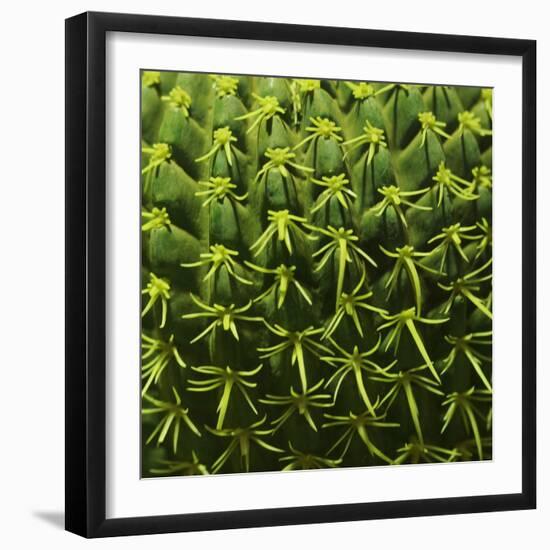 Green In A Square-Incredi-Framed Giclee Print