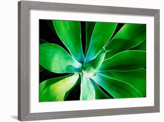 Green Intrigue-Bruce Nawrocke-Framed Photographic Print