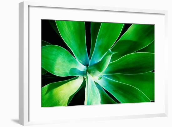 Green Intrigue-Bruce Nawrocke-Framed Photographic Print
