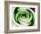 Green Is Life-Herb Dickinson-Framed Photographic Print