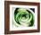 Green Is Life-Herb Dickinson-Framed Photographic Print