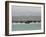 Green Island, a Short Boat Trip from Massawa, Red Sea, Eritrea, Africa-Mcconnell Andrew-Framed Photographic Print