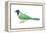 Green Jay (Cyanocorax Yncas), Birds-Encyclopaedia Britannica-Framed Stretched Canvas