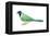 Green Jay (Cyanocorax Yncas), Birds-Encyclopaedia Britannica-Framed Stretched Canvas