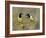 Green Jay Pair, Texas, USA-Rolf Nussbaumer-Framed Photographic Print