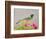 Green Jay Perched in Bougainvillea Flowers, Texas, USA-Larry Ditto-Framed Photographic Print