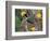 Green Jay, Texas, USA-Dee Ann Pederson-Framed Photographic Print