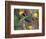 Green Jay, Texas, USA-Dee Ann Pederson-Framed Photographic Print