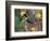 Green Jay, Texas, USA-Dee Ann Pederson-Framed Photographic Print