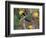 Green Jay, Texas, USA-Dee Ann Pederson-Framed Photographic Print