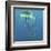 Green Jellyfish Illustration-Stocktrek Images-Framed Art Print