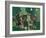 Green Joy-Mario Persico-Framed Giclee Print