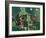 Green Joy-Mario Persico-Framed Giclee Print