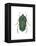 Green June Beetle (Cotinus Nitida), Insects-Encyclopaedia Britannica-Framed Stretched Canvas