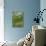 Green Landscape II-Andrea Davis-Art Print displayed on a wall