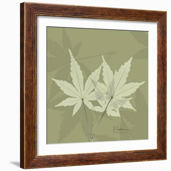 Green Leaf Square 1-Albert Koetsier-Framed Art Print