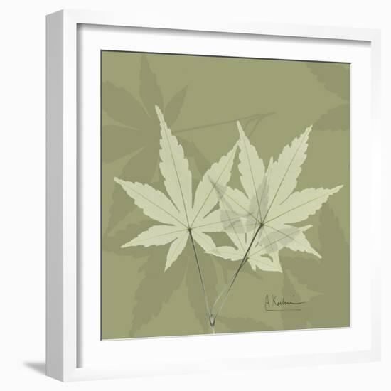 Green Leaf Square 1-Albert Koetsier-Framed Art Print